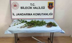 Ormanlık arazide kenevir ekimi yapan şahıs ektikleri sularken yakalandı