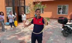 Sağlık ocağında yılan paniği
