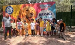 Sahipsiz sokak hayvanları tedavi merkezi ve doğal yaşam alanı, öğrencileri ağırladı