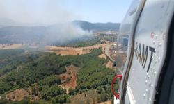 Seydikemer'de orman yangını