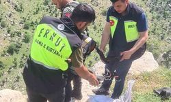 Siirt'te mahsur kalan keçi için seferber oldular: ERKUT ekipleri 8 günlük esareti bitirdi