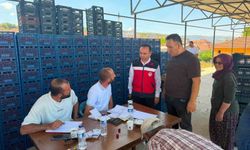 Simav İlçe Tarım ve Orman Müdürlüğünden kiraz alım merkezlerine ziyaret