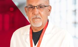 Sivrisinek kaynaklı chikungunya virüsüne karşı uyarı
