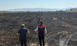 Söke'de yangından zarar gören tarım arazileri incelendi
