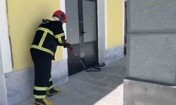 TCDD binasına giren yılan paniğe neden oldu