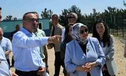 Tekirdağ Valisi Soytürk, Şarköy'deki sahipsiz hayvan doğal yaşam alanını inceledi