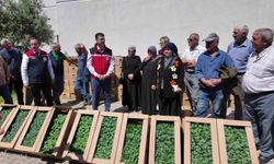 Tekirdağ'da 407 üreticiye 256 bin yazlık sebze fidesi dağıtıldı