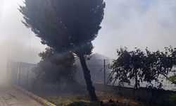 Tekirdağ'da tarım arazisinde başlayan yangın: Alevler 4 farklı noktaya sıçradı