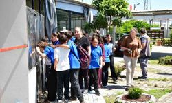 Terme'de 'doğa' sevgisi