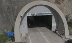 Tünelde üretilen istiridye mantarının ilk hasadı gerçekleştirildi