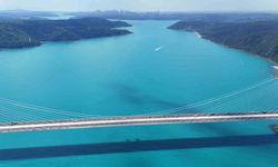 Turkuaza dönen İstanbul boğazında yunuslar akın etti