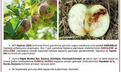 Üreticilere karaleke ve iç kurdu uyarısı