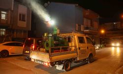 Uşak Belediyesinden vektörle mücadele seferberliği