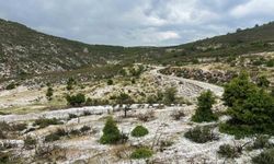 Uşak'ın yüksek kesimlerinde dolu yağışı etkili oldu