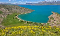 Van Gölü'nün kıyısındaki turizm cenneti: İncekaya köyü