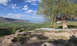 Van'ın koyları ve göl manzaralı mesire alanları doğaseverleri büyülüyor