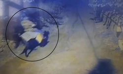 Yaşlı çifti öldürdükten sonra atla kaçan sanığa iki kere ağırlaştırılmış müebbet