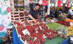 Yaz meyvelerinde fiyatlar düşüşe geçiyor