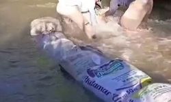Yüksekovalı çiftçilerin kum torbalarıyla su nöbeti
