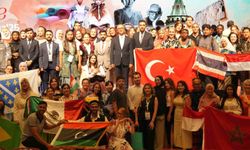 Yunus Emre Enstitüsü Kültür Akademileri, Türkçe ve Türkoloji Yaz Okulları başlıyor