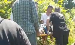 Rize'de kiraz toplamak için çıktığı ağaçtan düştü