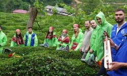 Rize'de "Gönüllü Çay Hasadı Etkinliği”