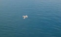 Rize Açıklarında Gizemli İHA Alarmı