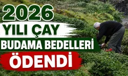 Çay budama bedelleri hesaplara yattı