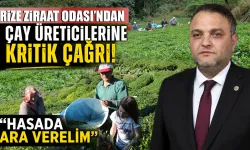Rize Ziraat Odasından "Hasada Ara verin" Çağrısı