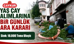 ÇAYKUR'dan Yaş Çay Alımlarına Bir Günlük Ara Kararı