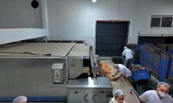 81 İlden Gazeteciler Kırşehir'de Türkiye'nin En Ucuz Ekmek Fabrikasında