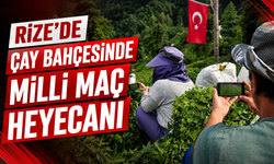 Rize'de çay bahçesinde milli maç heyecanı