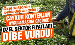 Yaş çay sezonunda özel sektörün beklediği an geldi..!