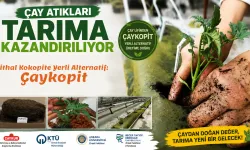İthal Kokopite Yerli Alternatif: 'Çaykopit'
