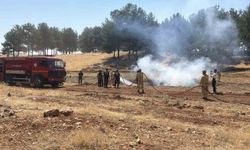 Adıyaman'da kuraklık ve orman yangını tatbikatı düzenlendi