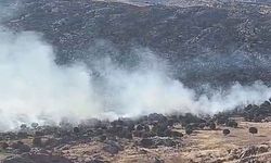 Adıyaman'da ormanlık alanda yangın