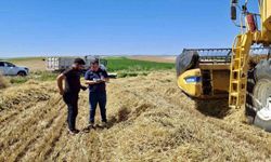 Afyonkarahisar'da hububat hasadı başladı