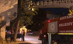 Ağaçta mahsur kalan kediyi itfaiye ekipleri kurtardı