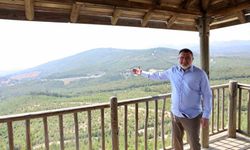 AK Parti'li Saygılı: 'Devletimiz, yanan her karış toprağı yeniden fidanla buluşturdu'