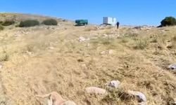 Aladağlar'da BASE Jump sporcusuna çoban köpekleri saldırdı