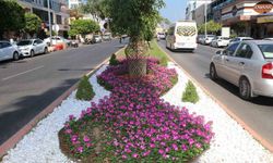 Alanya Belediyesi'nden yeşil alanlarda yoğun mesai