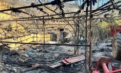 Alanya'da orman yangını muz seralarına sıçradı: 17 hektarlık alan zarar gördü