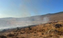 Aliağa'da otluk alanda yangın