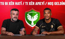Amed Sportif Faaliyetler, kaleci Lafont'u renklerine bağladı