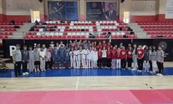 ANALİG Taekwondo İl Seçmeleri tamamlandı