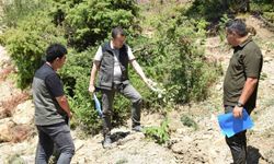 Andırın'da gelir getirici ağaçlandırma çalışmaları sürüyor