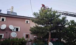 Apartman çatısında mahsur kalan kedi itfaiye ekiplerince kurtarıldı