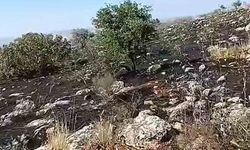 Araban'da fıstıklık ve otluk alanda yangın