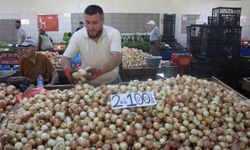 Aşırı yağışlar, soğanın dengesini bozdu