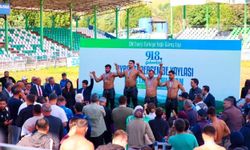 Aybastı Perşembe Yaylası Güreşleri'nde başpehlivan Erkan Taş oldu